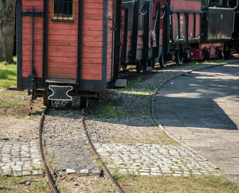 Narrow-gauge train surrounded by trees in the Narrow Gauge Railway Museum, Wenecja, Poland